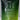 GREEN APPLE ELECTROLYTE | 10 SACHETS | BUY 2 GET ONE FREE